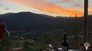 Organic farm for growing fruits and vegetables and reforestation