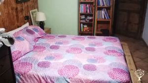 Coltivazione di erbe di montagna nel parco nazionale Gran Paradiso