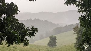 The view from near top of the property, 1700ft, of Pine Ridge with Chestnut Ridge in the distance.