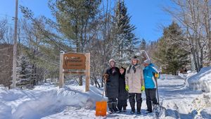 Organic gardens and  small barn with 3 cows ,pigs and poultry