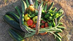 Community permaculture project and educational centre. Family homestead