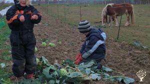 Gemeinschaft mit SoLaWi