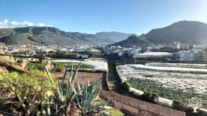 Vistas desde el huerto