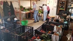 Family owned diversified farm with CSA and farm stand