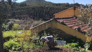 Fonte Longa