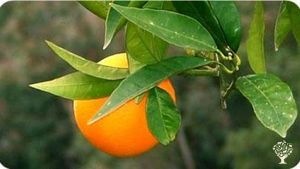 Agritourism Destination