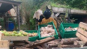 Eco lieu & organisme de formation