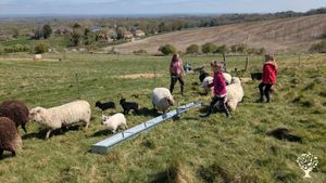 Home and developing small holding in the South Downs National Park in East Sussex