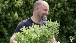 Happy Food Forest - living soil, delicious food and happy people.