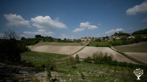 Piccola fattoria, Vigneto, Fattoria di famiglia
