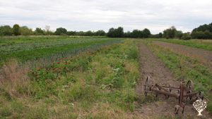 Vielfältiger Bio Gärtnerhof