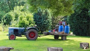 Organic veggies and fruit, rotational grazing sheep and chicken, little farm shop