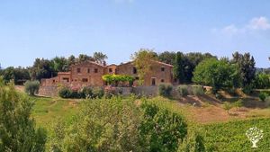 Organic family-run farm in Tuscany