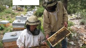 Ferme apicole biologique et maison panneaux solaire thermique et photovoltaique , piscine , potager.