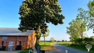 Organic flowerfarm at the sea