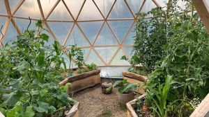 Permakulturhof im Aufbau