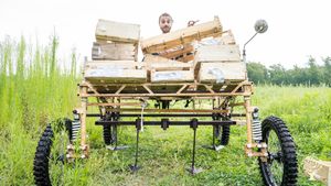 Maraîchage bio, petit élevage  muton et agrotourisme