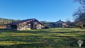 Écolieu en construction en pleine forêt landaise,permaculture