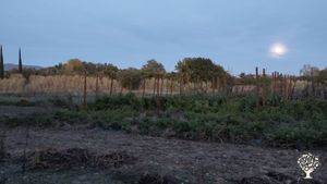 Ferme bio maraîchage diversifié