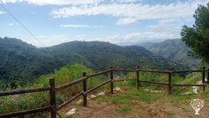 Granja ecológica para autoproducción. Montes de Málaga con olivos, almendros, huerto y frutales