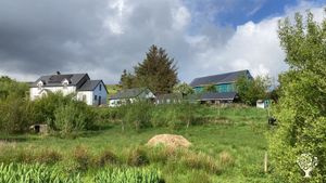 View from the wetland field