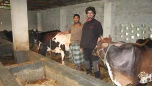 It is a multipurpose Agro & Fish Farm located in Feni. 135 KM From Dhaka towards Southeast