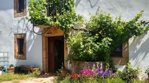 Pequeña huerta ecológica  / Smallholding