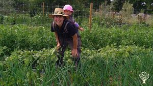 Family farm in the Småland forest - Vegetables - animals - permaculture