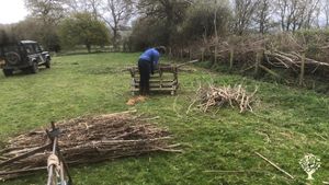 Sustainable smallholding in East Devon