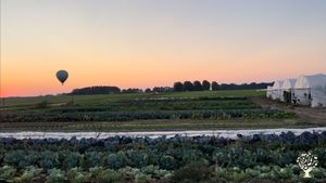 Maraîchage biologique sur petite surface