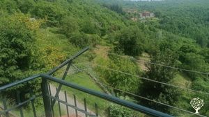 Casa  contadina con 3300 metri q. di terreno adibito a frutteto e orto