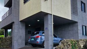 <JJ128> 유기농 귤 과수원 / Meadow Orchard