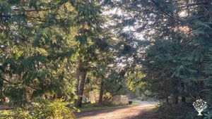 Alternative co-operative community, Educational Centre, Market Garden, Diversified farm