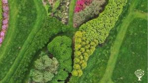 drone image of a part of our spiritual garden