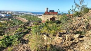 El huerto abajo, la casa al fondo y parte de la ladera con reforestación de flora endémica arriba
