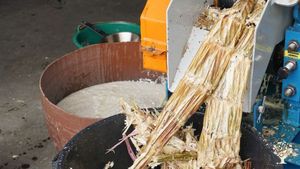 Micro distillerie de fruits et canne à sucre issu de l'agriculture  biologique à la Réunion