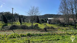 Organic farm, hotel and restaurant in Costa Vicentina
