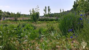 Micro ferme en agroécologie dans les Alpes de Haute Provence