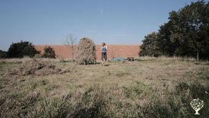 Community with organic vegetable garden and much more