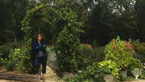 Family home and garden - rural, Agritourism Destination, Flower Farm, Apiary and Willow