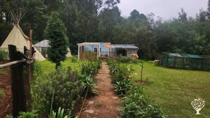 Cedar Falls is a small farm; Centre of Living and Learning located in rural Mpumalanga province SA