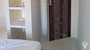 A regenerative organic farm.