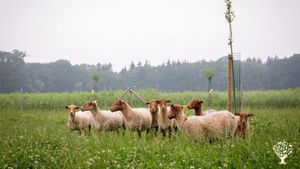 Microferme de canards et fruits bio