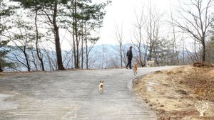 <GW125> 꽃과 함께 고요한 산속에서의 쉼 / Rest in the Tranquil Mountains with Flowers1