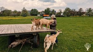 Ziegenhof und Selbstversorgerhof