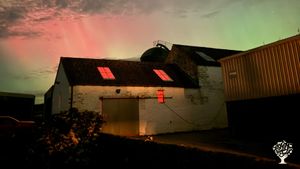 We are an organic sheep and cattle farm based on the Isle of Bute in Scotland