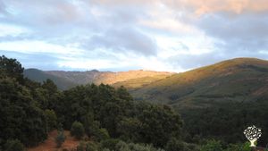 Zelfvoorzienend gezin met fruit en olijfolie verkoop