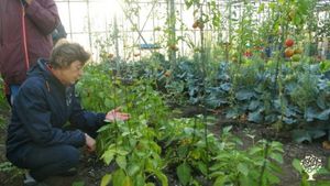 Divers activités agricoles et vie collective, mouvement Emmaüs