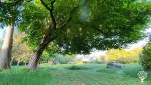 Lieu d’accueil familial avec grand jardin pour fans de biodiversité et de convivialité