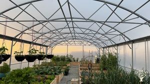 Small croft on Isle of Skye with Highland Cattle, Hebridean sheep, bees, ducks & chickens and more